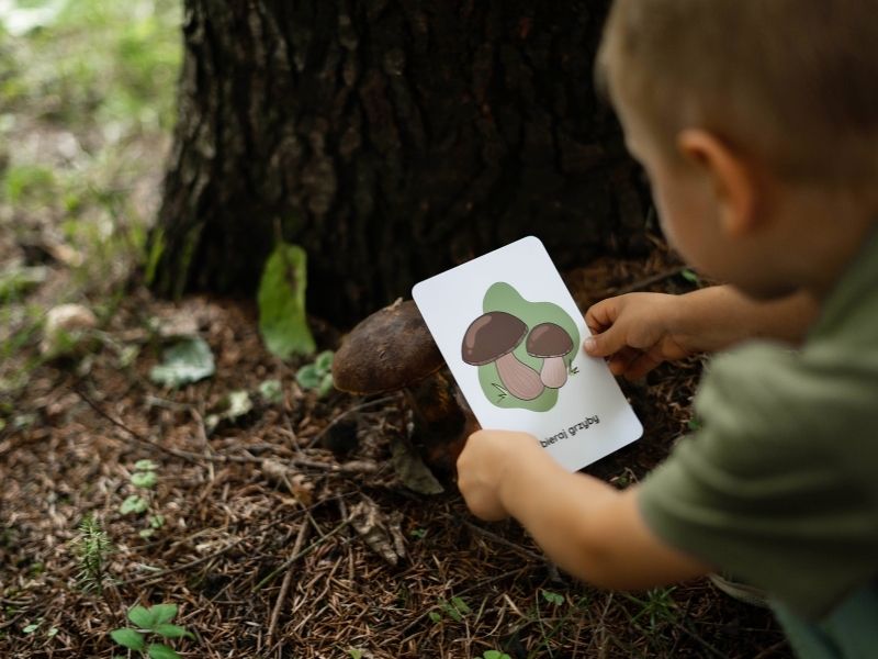 5-aktywnosci-outdoorowych-blog-nanuki