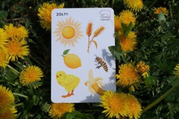 5-pomyslow-na-ekstra-blog-nanuki