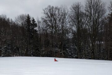 5-rzeczy-niezbednych-podczas-zimowego-blog-nanuki