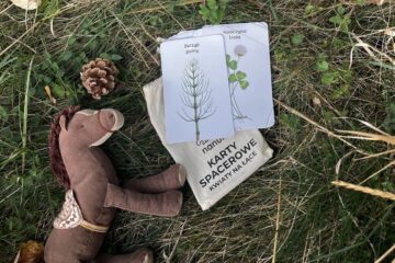 a-niech-sie-bawia-blog-nanuki