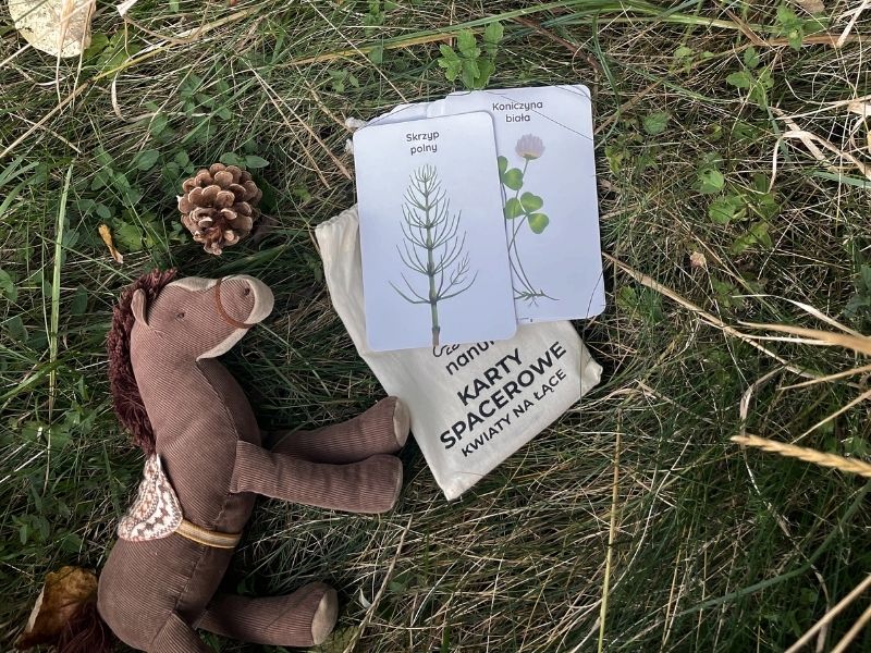 a-niech-sie-bawia-blog-nanuki