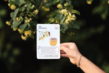 a-to-polska-wlasnie-blog-nanuki