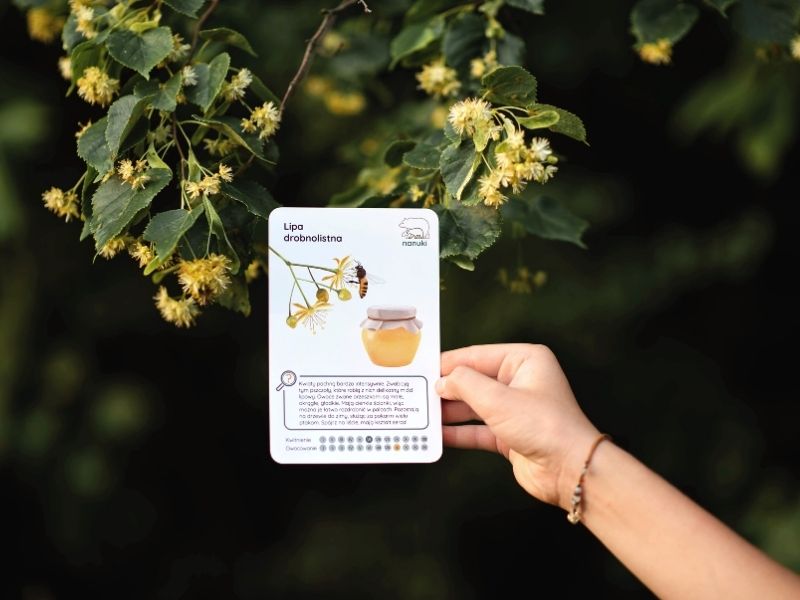 a-to-polska-wlasnie-blog-nanuki