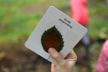 dlaczego-karty-blog-nanuki