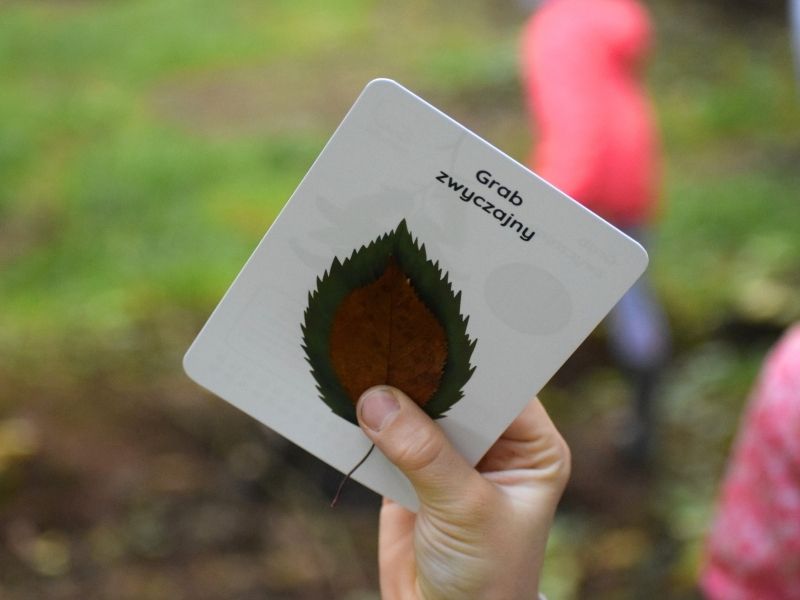 dlaczego-karty-blog-nanuki