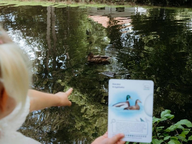 dlaczego-warto-wyjsc-z-dzieckiem-blog-nanuki