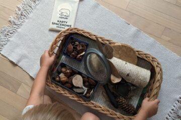 jak-odroznic-szyszki-blog-nanuki