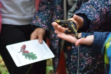 jak-wychowac-odporne-na-stres-blog-nanuki