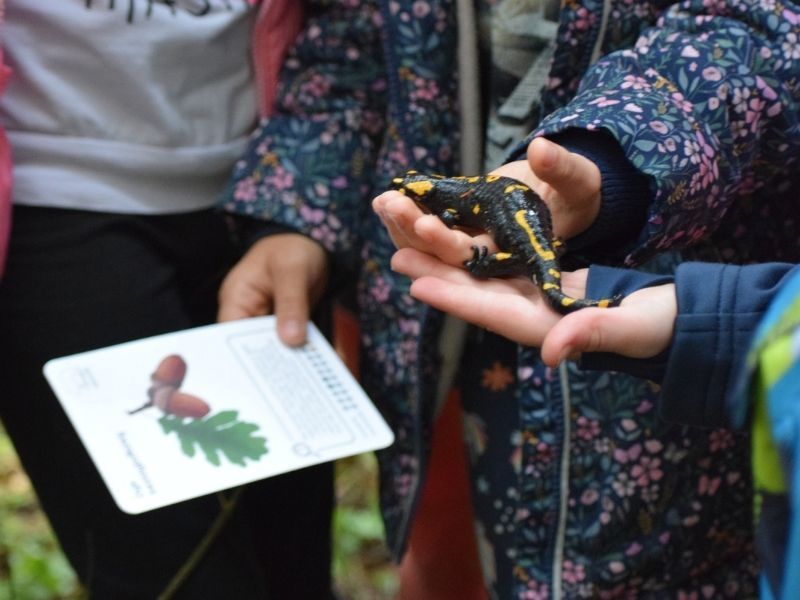 jak-wychowac-odporne-na-stres-blog-nanuki