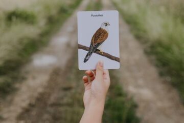 jak-zachecic-dziecko-do-wyjscia-blog-nanuki