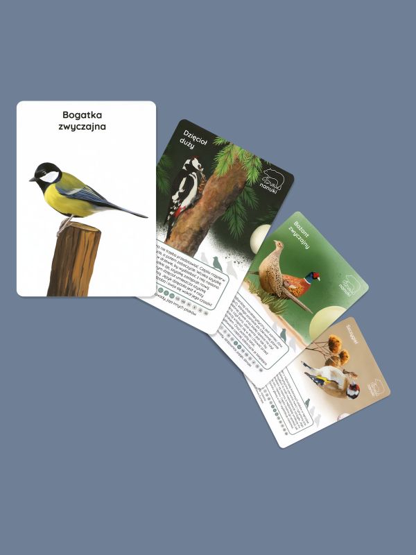 karty-spacerowe-ptaki-nanuki-02