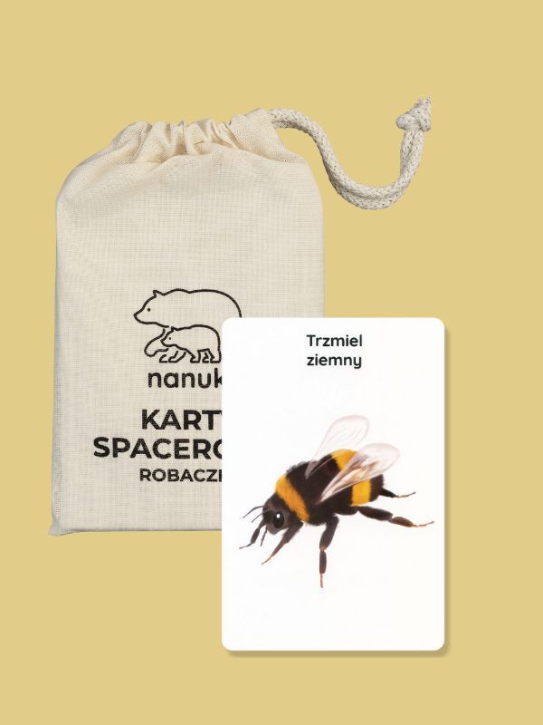 karty-spacerowe-robaczki-nanuki-01