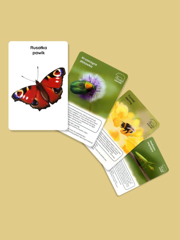 karty-spacerowe-robaczki-nanuki-02