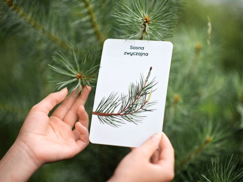 karty-zamiast-telefonu-blog-nanuki