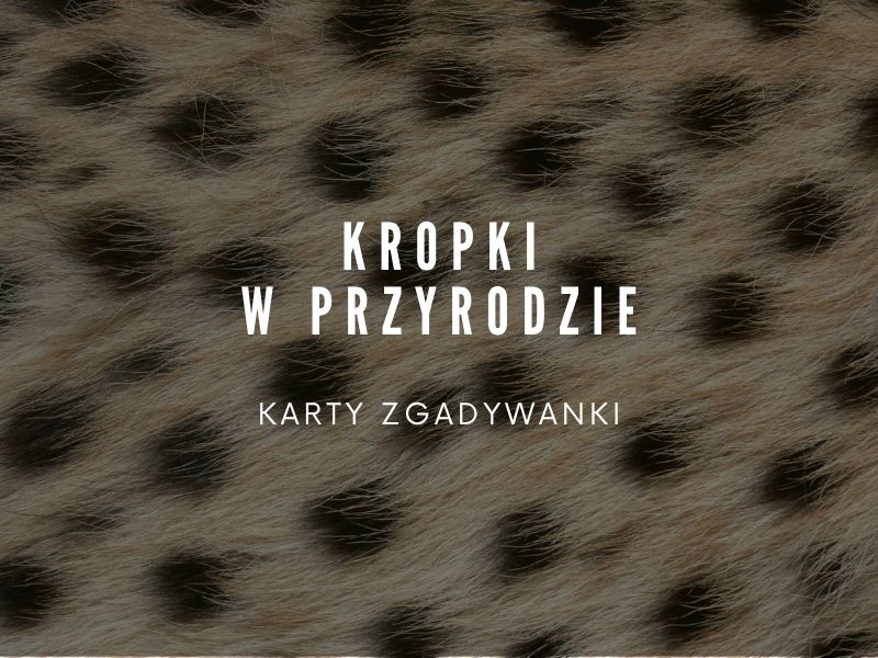 kropki-w-przyrodzie-do-pobrania-nanuki