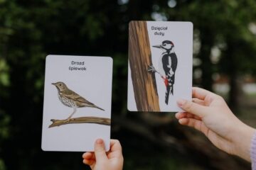 las-wiosna-blog-nanuki