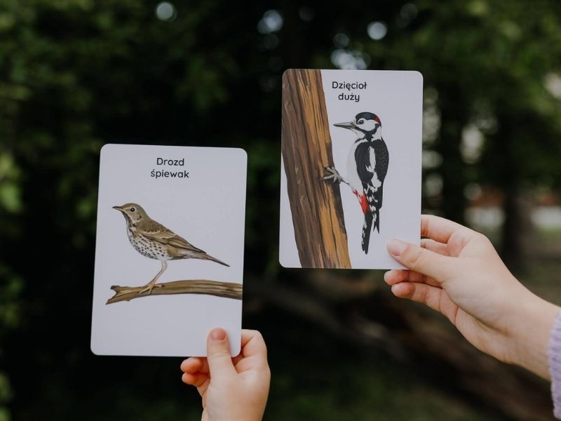 las-wiosna-blog-nanuki