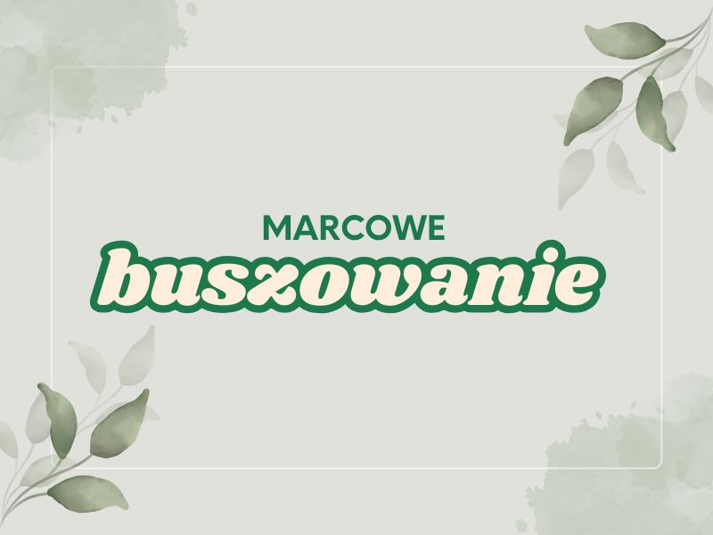 marcowe-buszowanie-do-pobrania-nanuki