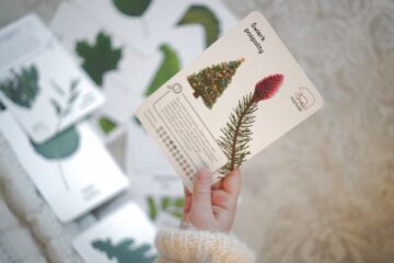 my-sie-zimy-nie-blog-nanuki