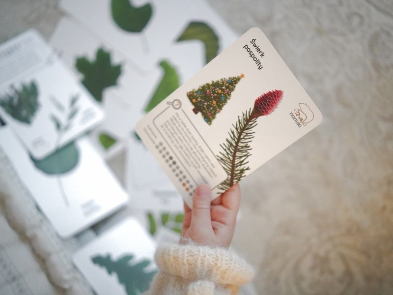 my-sie-zimy-nie-blog-nanuki