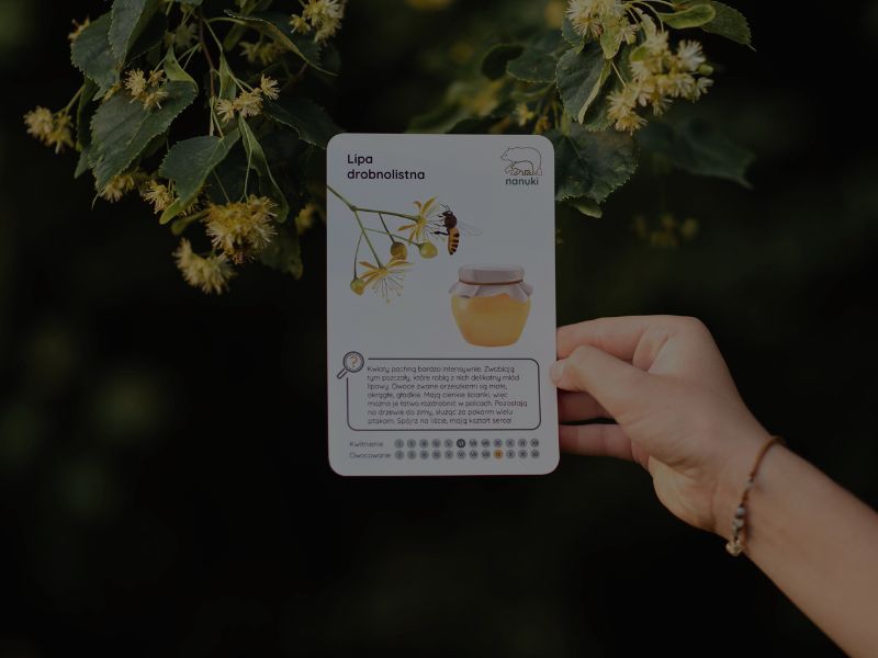 nanuki-seria-spacerowa