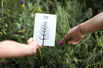 zabawy-z-trawy-blog-nanuki