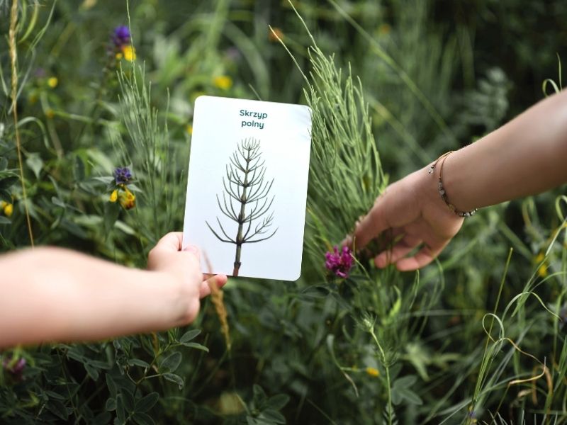 zabawy-z-trawy-blog-nanuki