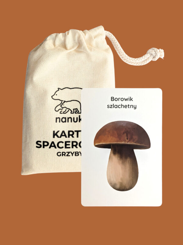 Karty Spacerowe Grzyby NANUKI